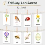 Frühling Lernkarten Kinder