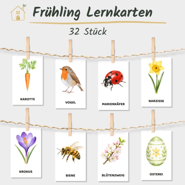 Frühling Lernkarten Kinder