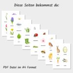 Frühling Lernkarten Kinder Druckvorlage