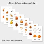 Herbst Lernkarten Kinder Druckvorlage