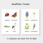 Lernkarten Kinder Frühling