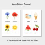 Lernkarten für Kinder Sommer