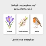 Lernkarten für Kinder mit Frühlingsthema